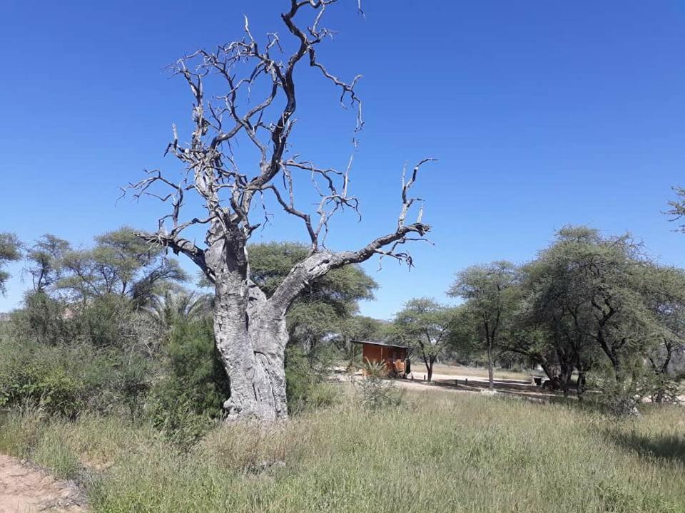 Hotel Camp Mara Omaruru Esterno foto